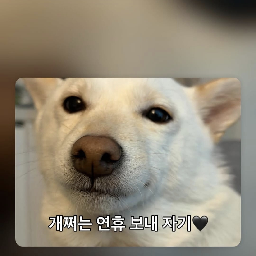 브론즈정글장인