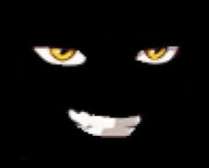 슈퍼헥토파스칼킥