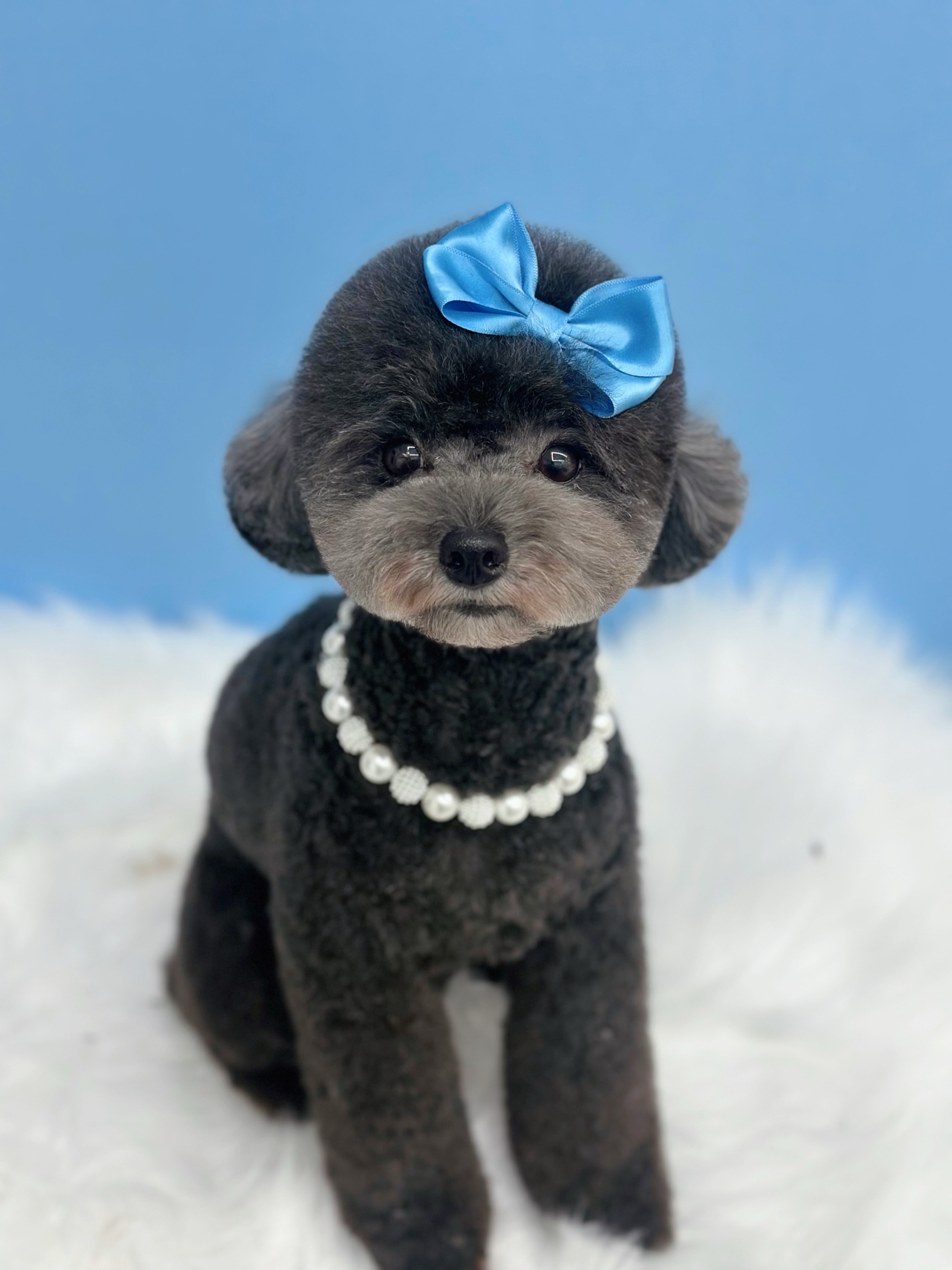 순자는말랑말랑까망이