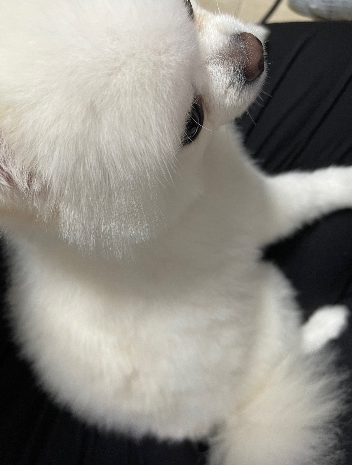 먹고살기만하자