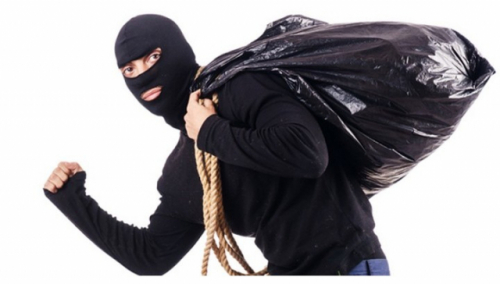 러블리한 호랑이 3382031