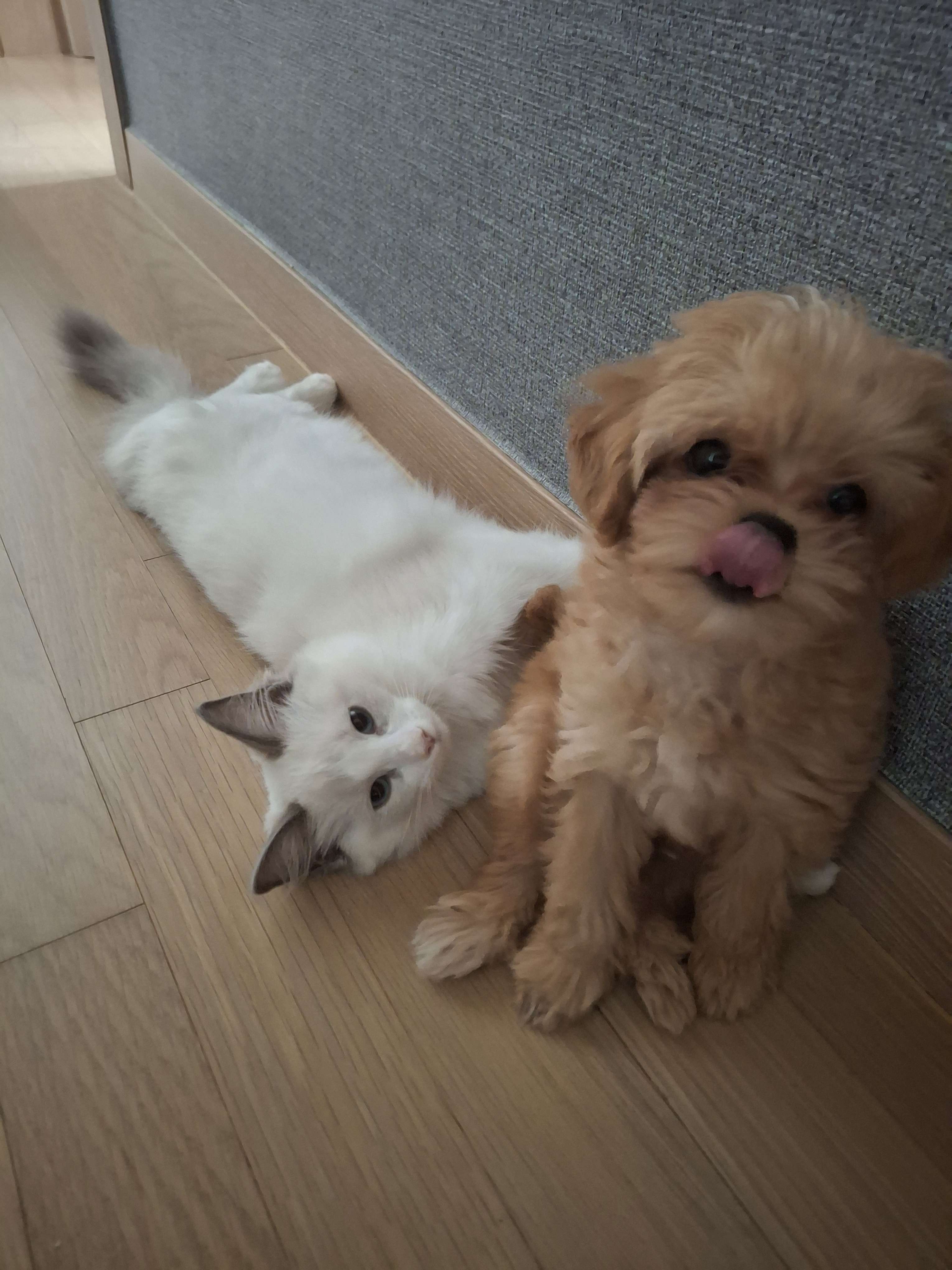 2틀2