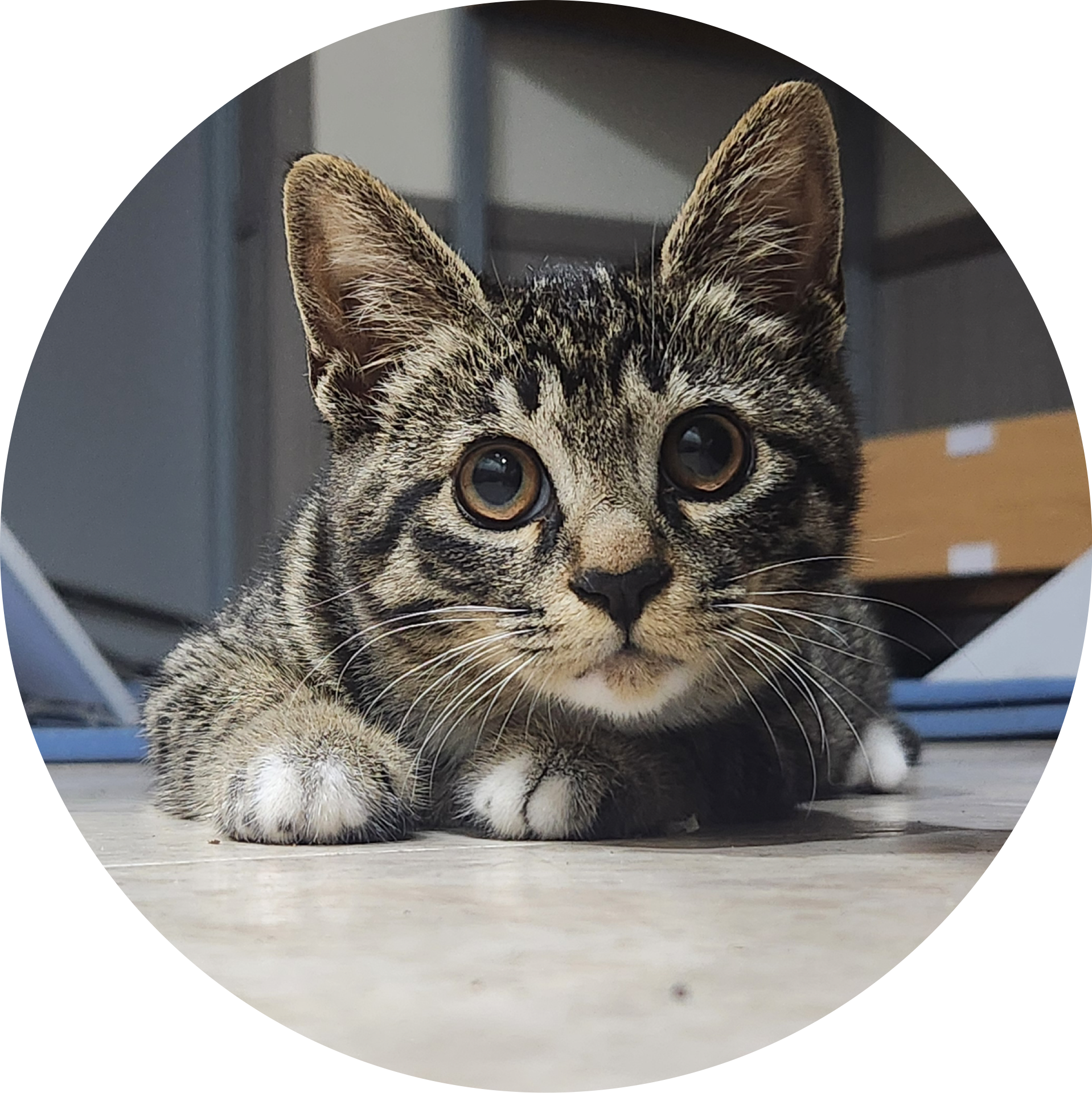 유어마이선우샤인