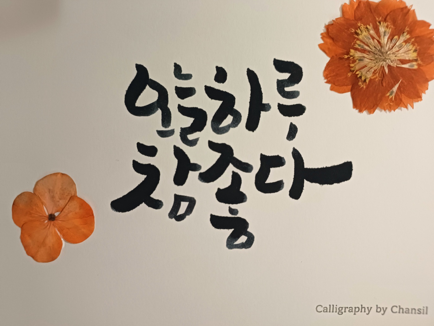 찬실이네글씨가게