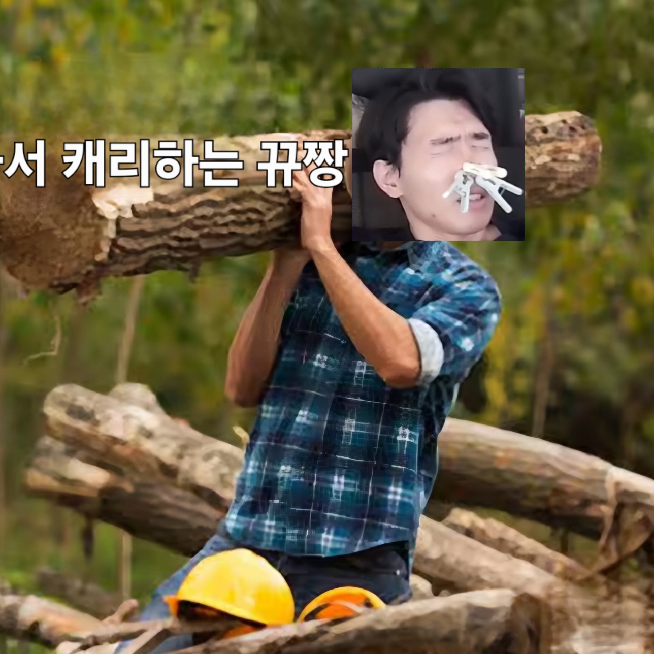아놔존야또안눌려