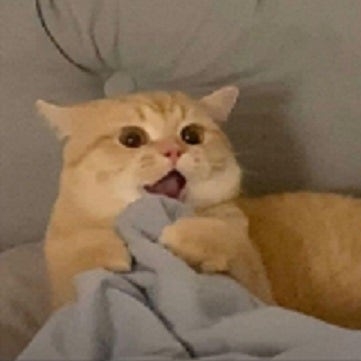 왕복하는왕복중