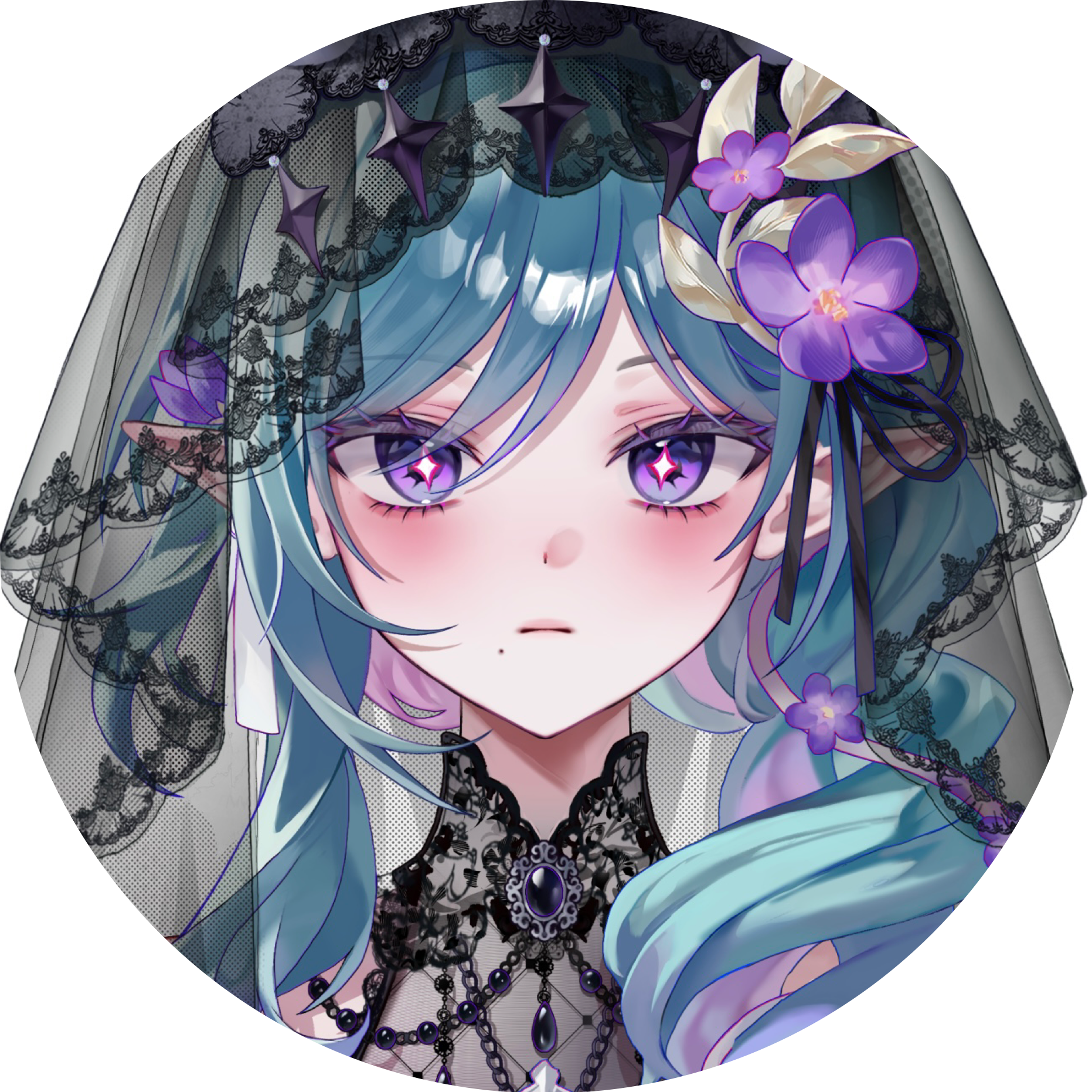 헬레나 비 아스테리아