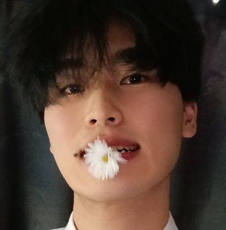 솜사탕 잃은 너구리