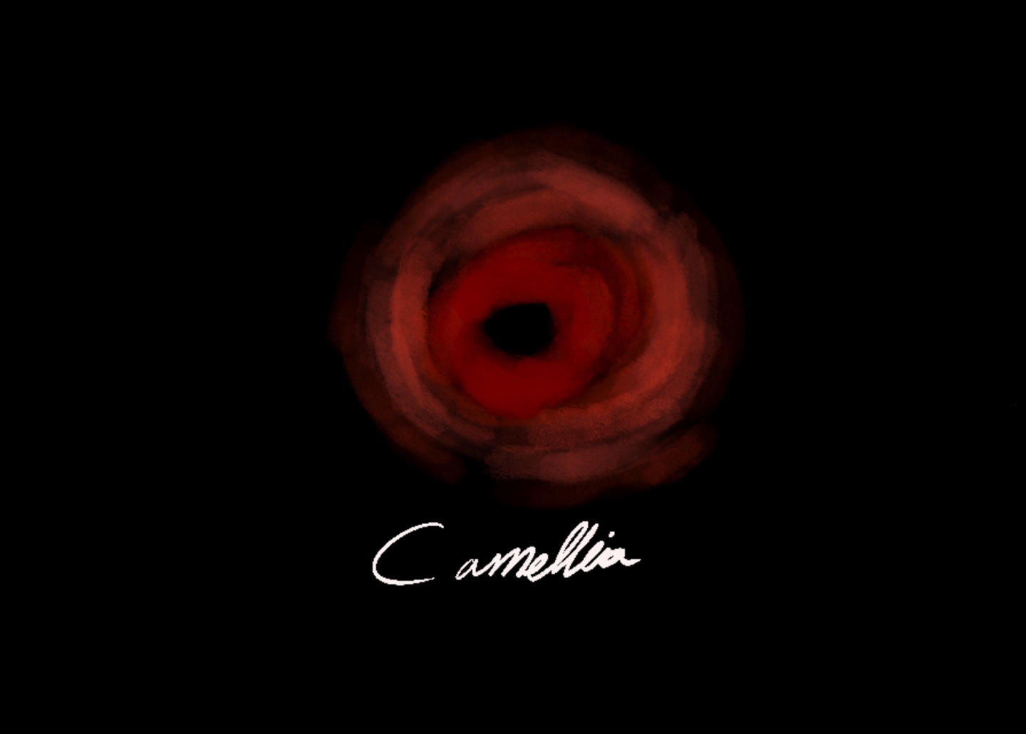 동백 CAMELLIA