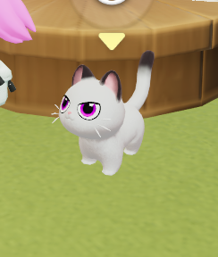 서래의 게임 채널