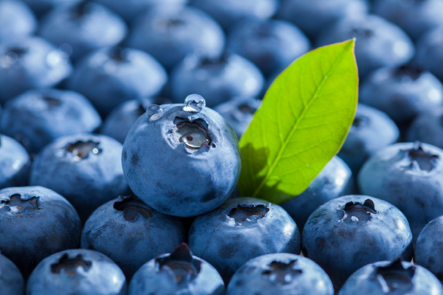 인생이 낚시인 사람