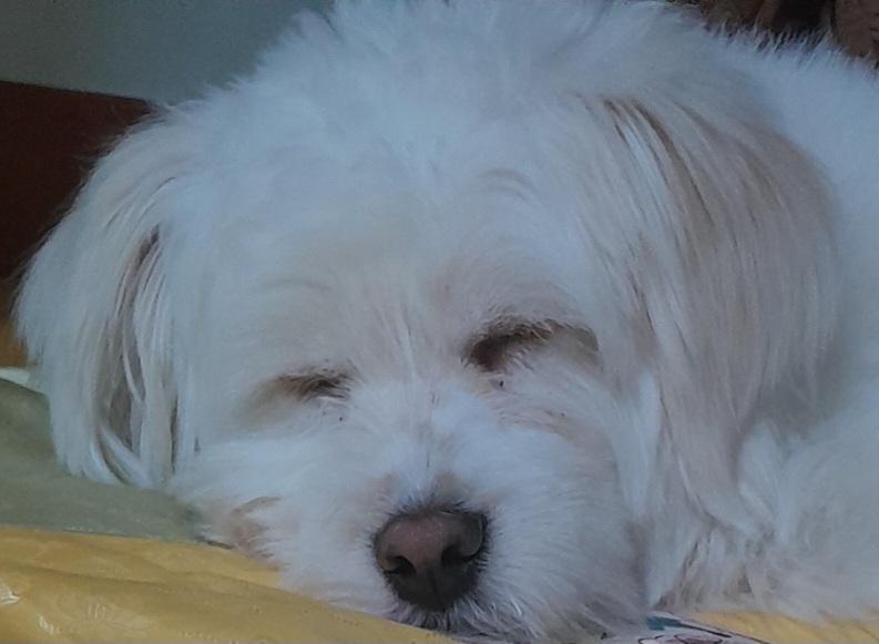 지나가던사람1111