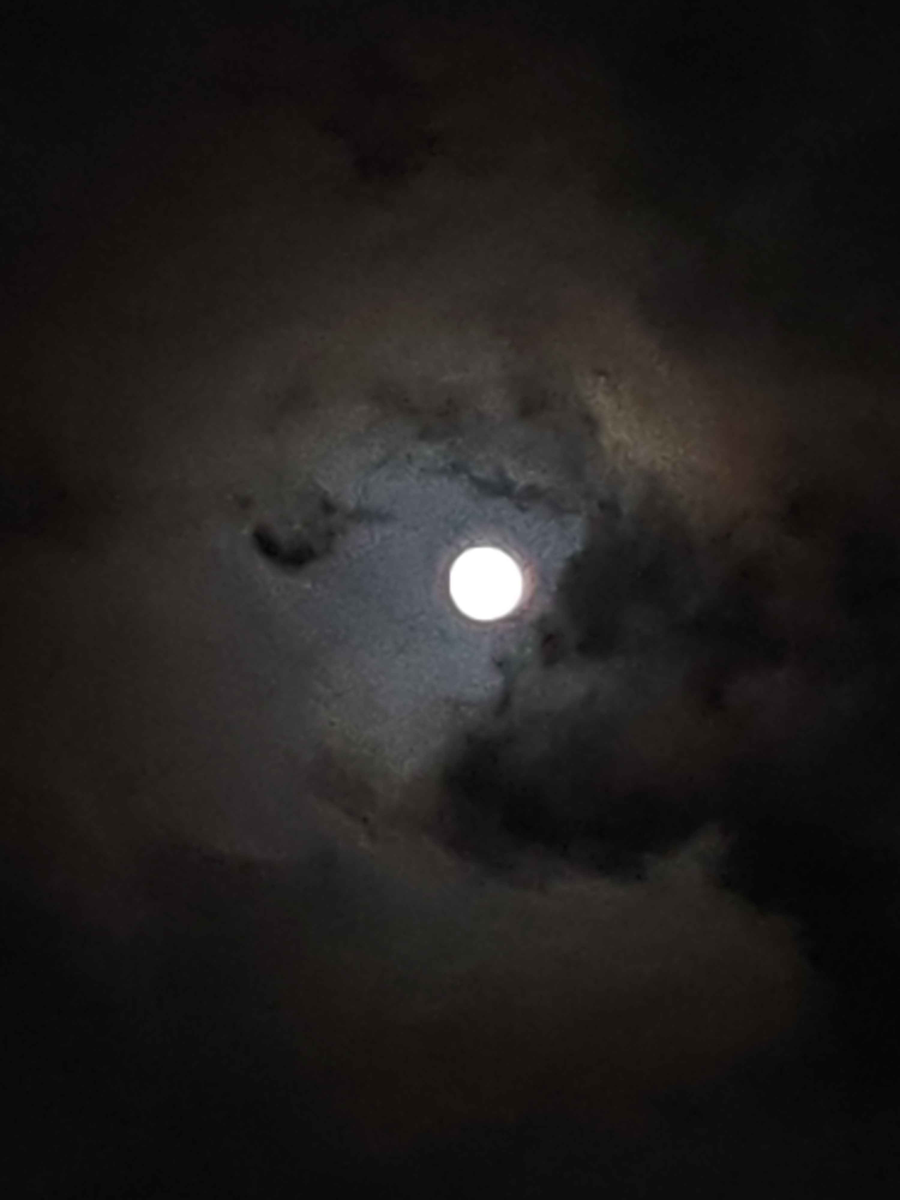 세상은 즐기는거야