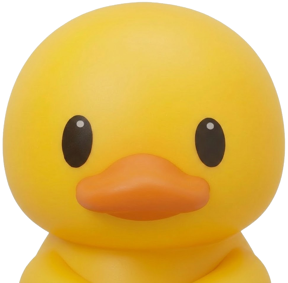 배씨가문배오리씨