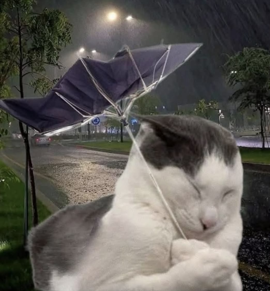 차분한 도시 556615