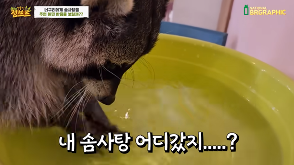 니솜사탕먹을때물뿌려