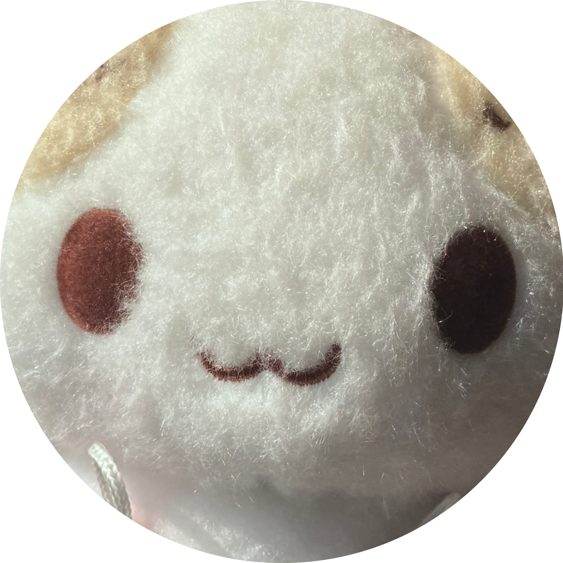 sukipi