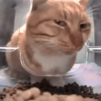 구원받지못한이안