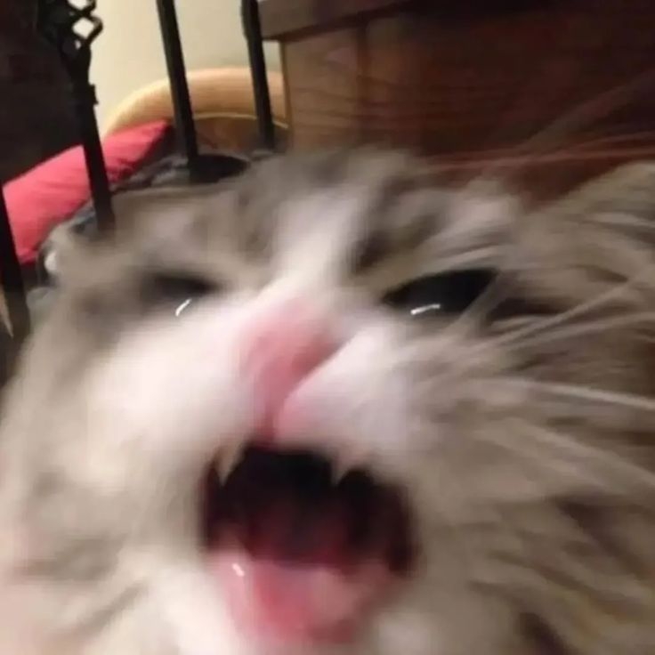 무능2