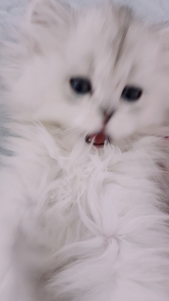 달달무슨달yedal