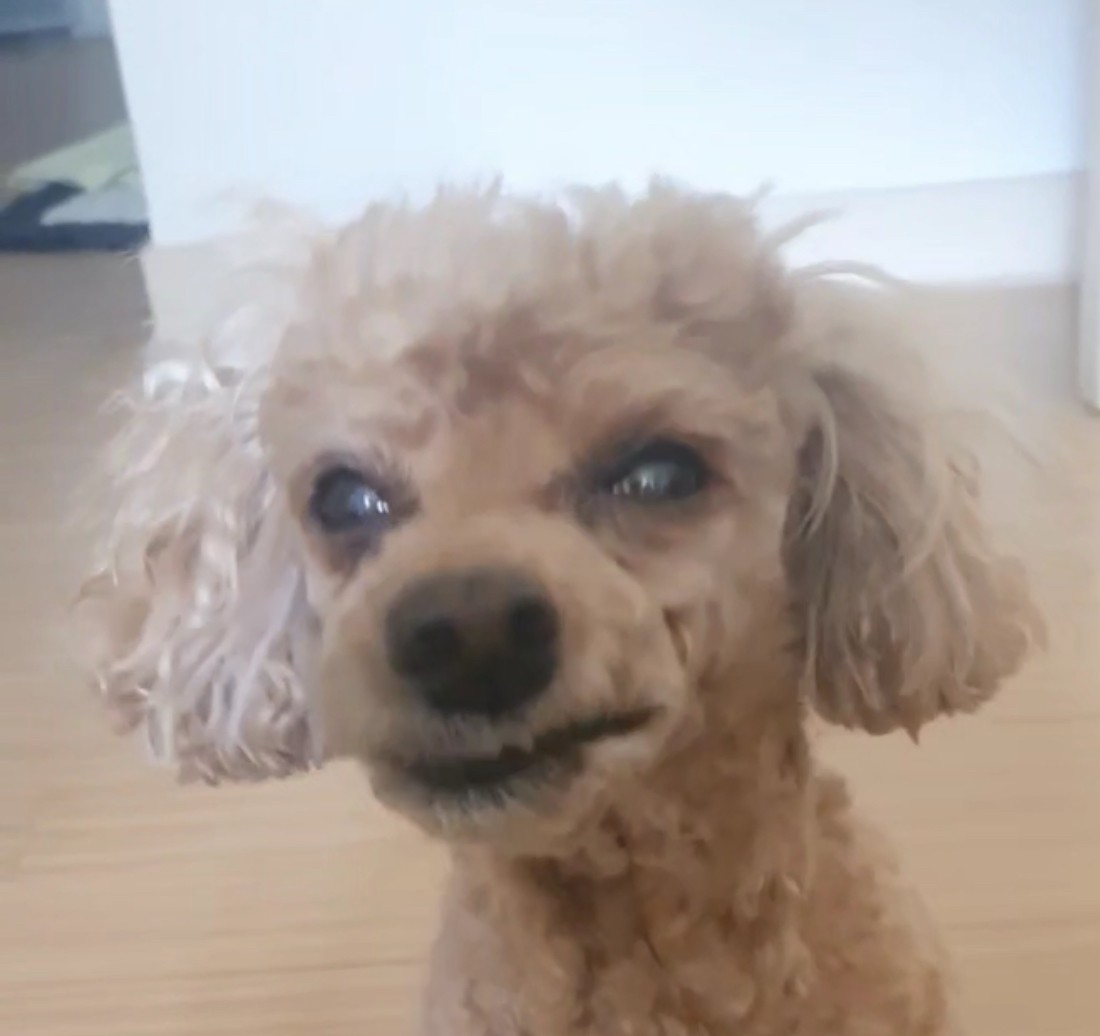 대박쨩