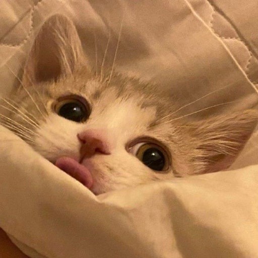 파인애플피자펩시민초