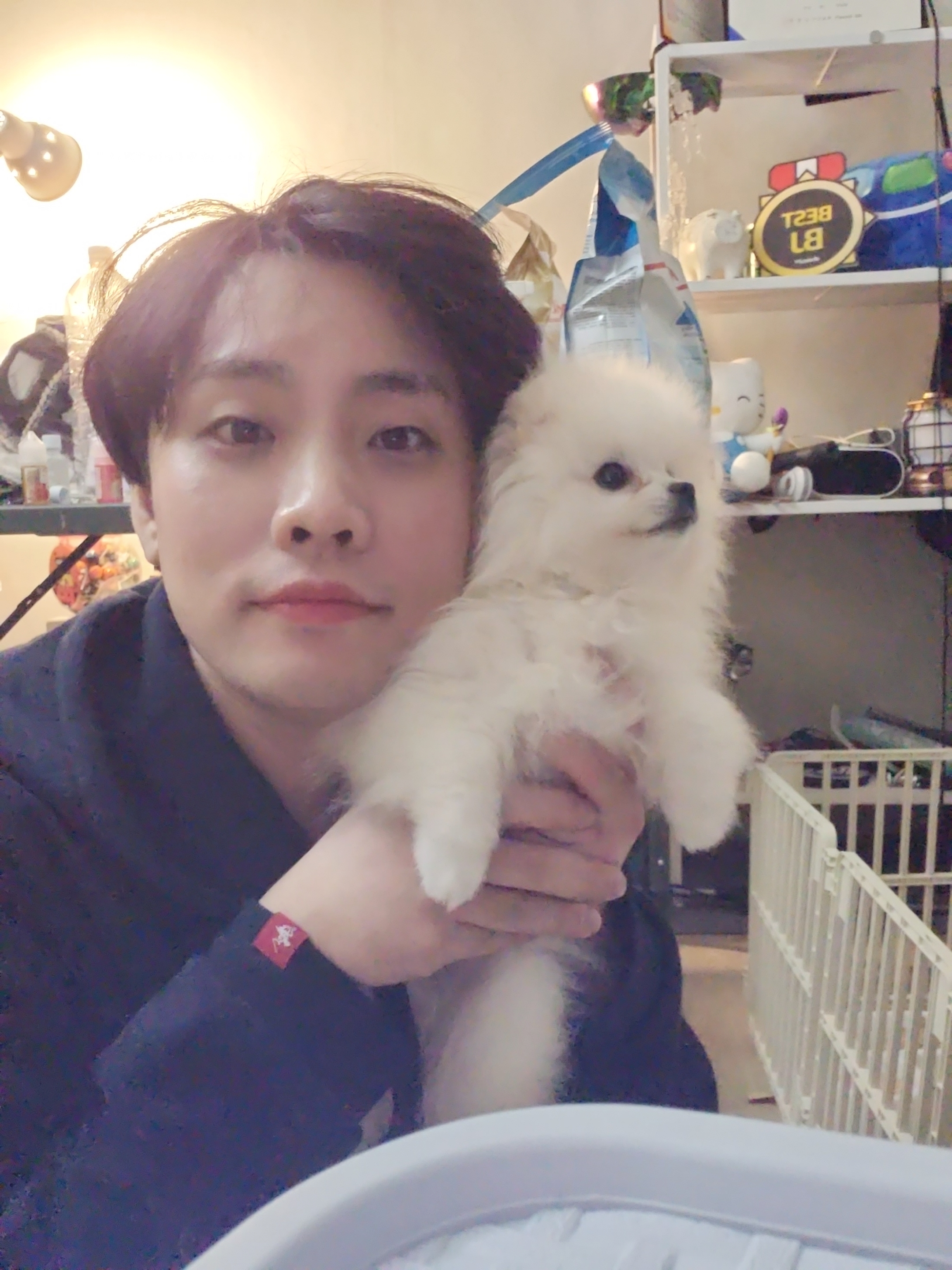 토리비