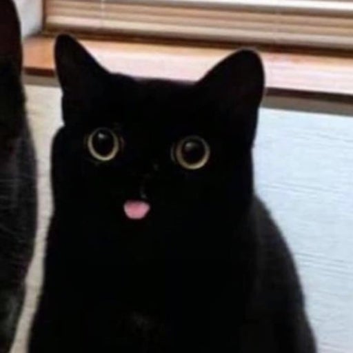 야무퀸