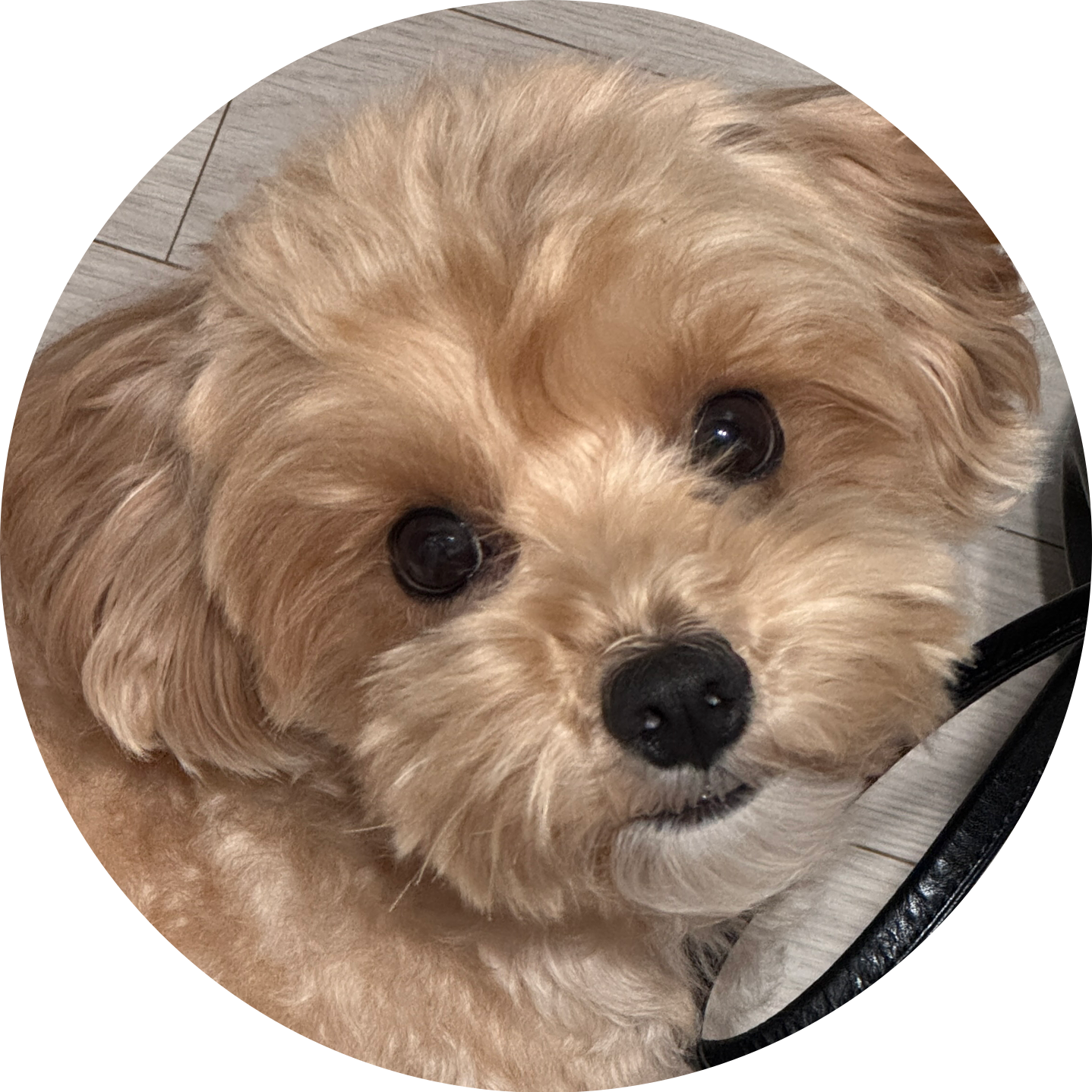 귀하게태어난내가