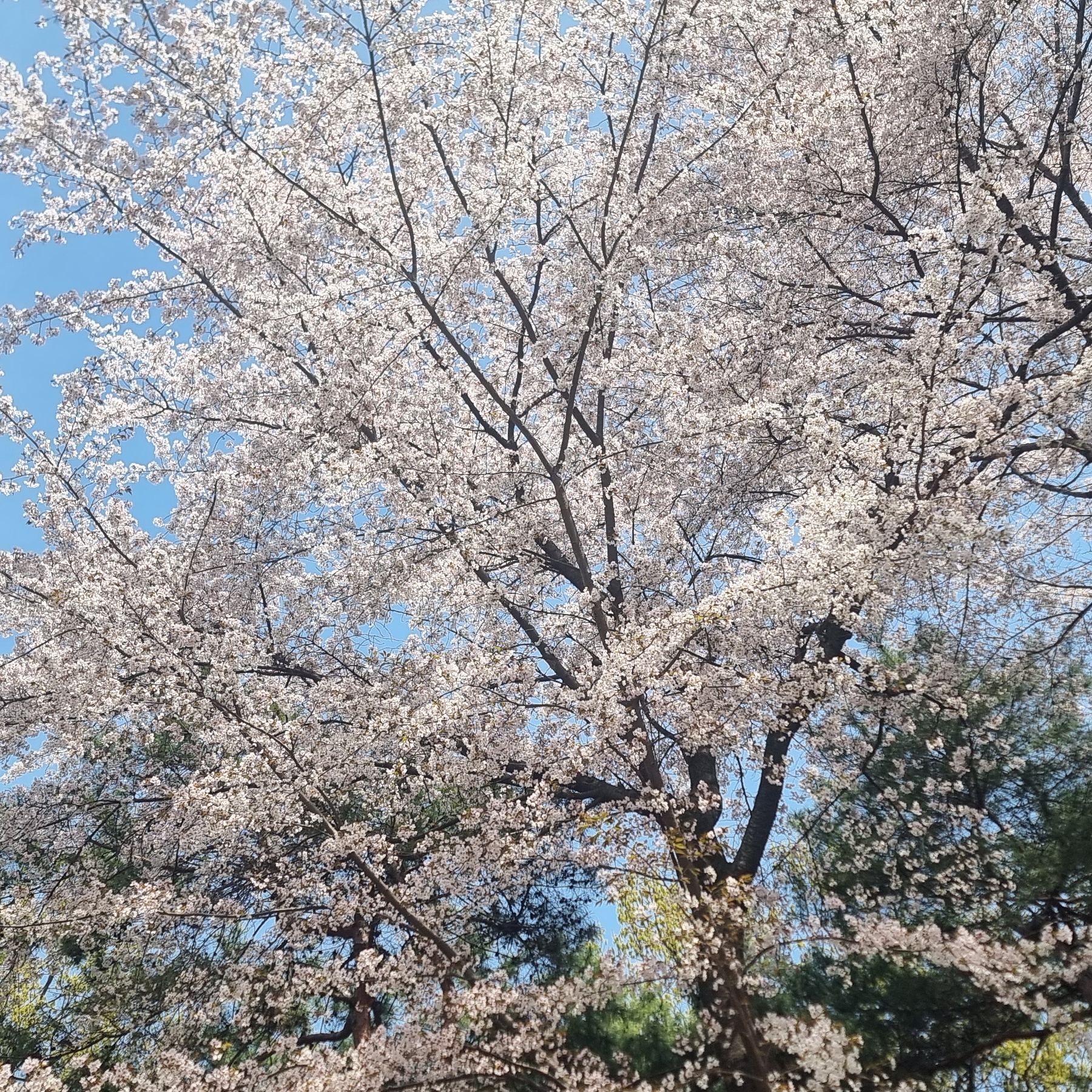 실버도품격이있을까