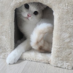 프로필