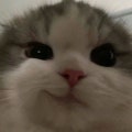 잉갱