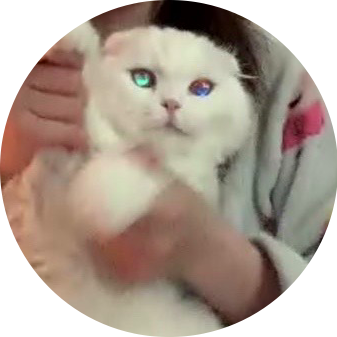 김함미 채널 프로필