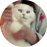 김함미 채널 프로필
