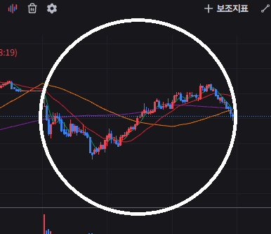 Rqdy 채널 프로필