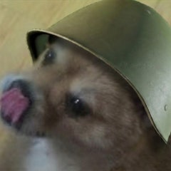 프로필